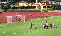 博主爆料假球视频大全最新,博主曝光假球视频大全深度解析